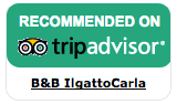 Screenshot of the Tripadvisor Badge saying: Recommended on Tripadvisor. Click to read all the reviews on Triadvisor